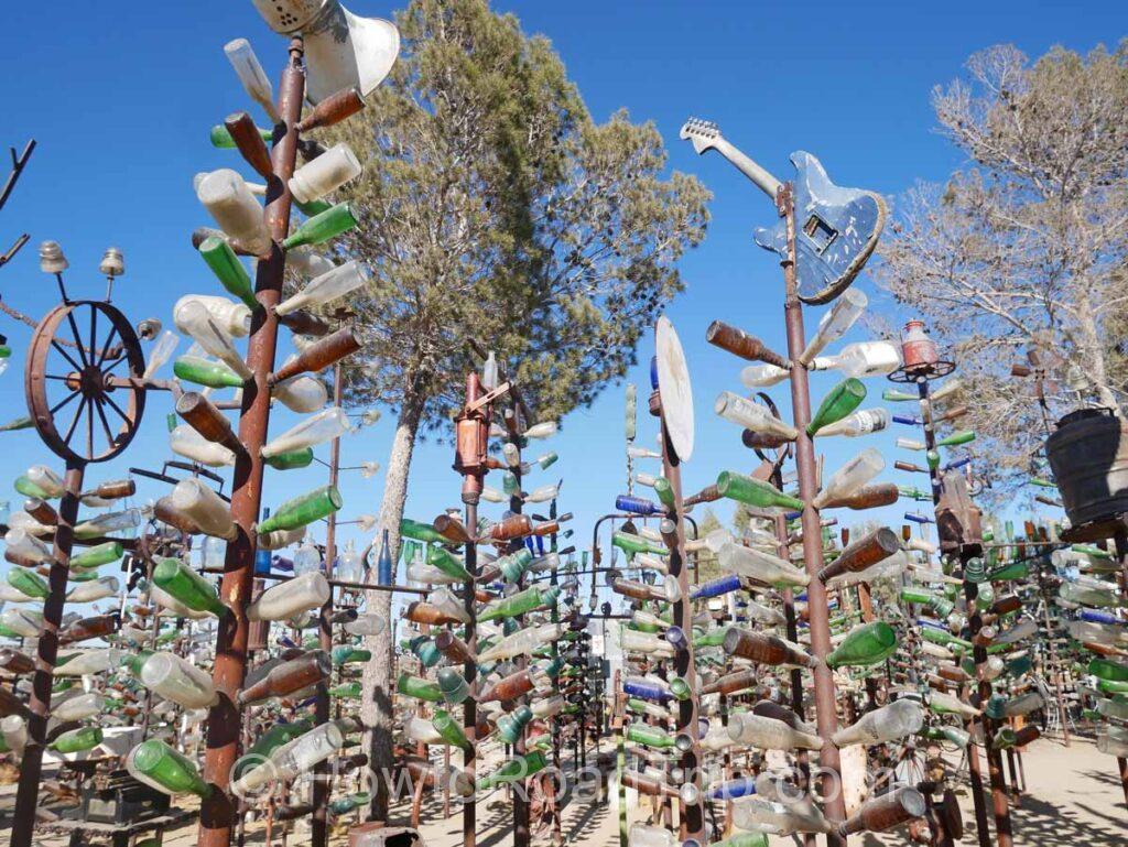 Elmer's Bottle Tree Ranch