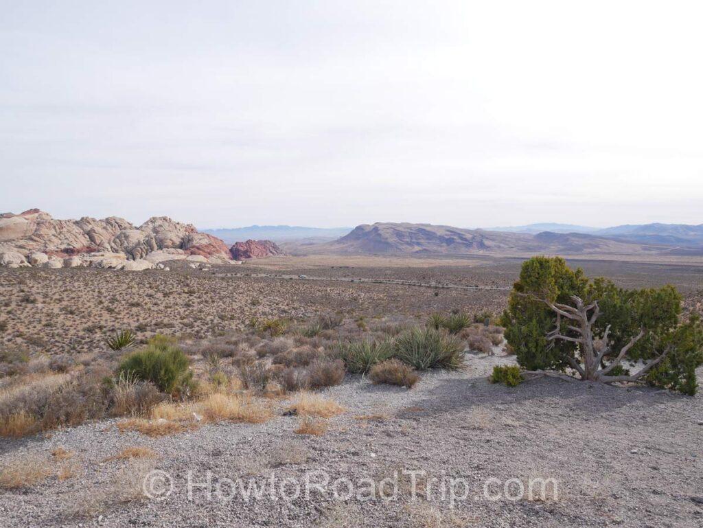 red rock canyon 