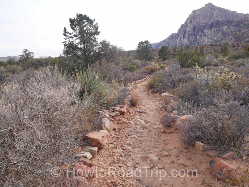 fire ecology trail